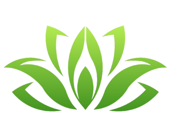 AIROHI logo